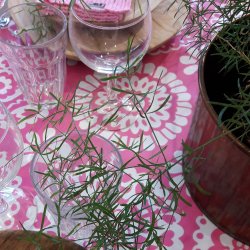 Rund voksdug med elastik 60 cm Outlet Pink Paloma