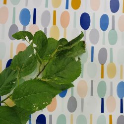 Rund voksdug med elastik 60 cm Outlet Bl Spoons