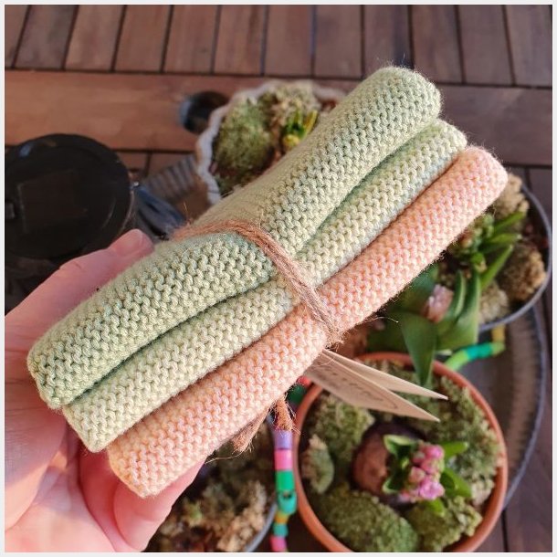 Karklude Papaya Pastel