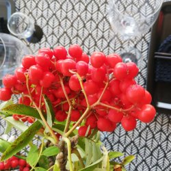 Rund voksdug 140 cm Trigo Sort  Au Maison