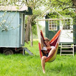 Brasil Acerola Hngestol XL