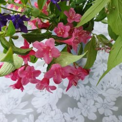 Aleta Gr� S�lv Voksdug med Hvide Blomster