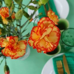 Voksdug Grn Strib 140 cm Au Maison