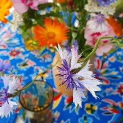 Rund voksdug med Elastik Aves Fugle Bl 120 cm