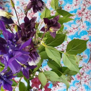 Bl� Cherry Blossom Mexicansk Voksdug med Kirseb�r