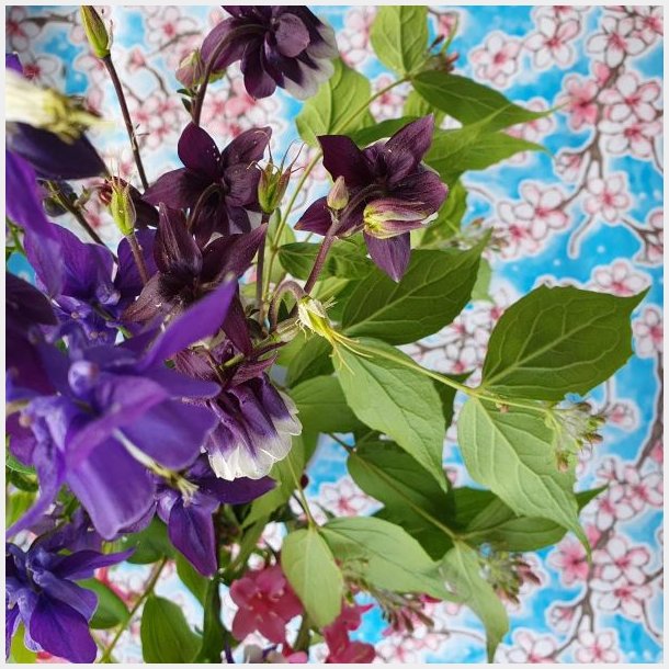 Bl� Cherry Blossom Mexicansk Voksdug med Kirseb�r