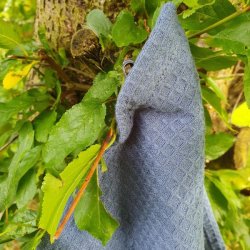 Vaffelvvet Bl Karklud Folkstone