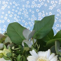 Tekstildug Margueritter Baby Blue 140 cm