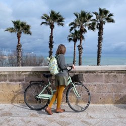 Cykeltaske Blade med Rygsk