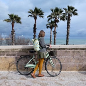 Cykeltaske Blade med Rygsk