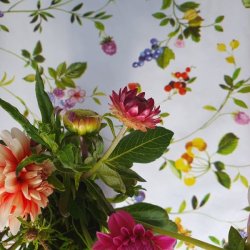 en skn og frisk voksdug