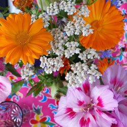 Aves Fuchsia Voksdug med Fugle