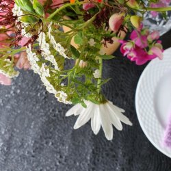 Voksdug Sort med Dr�ber 135 cm