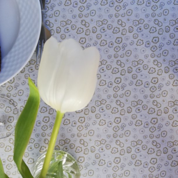 Rund tekstildug med Elastik Brun og Beige Coletta �138 cm