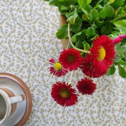 Au Maison Voksdug Fiona Dusty Yellow Rund Elastik 120 cm