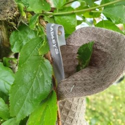 Vaffelvvet Brun Karklud Walnut