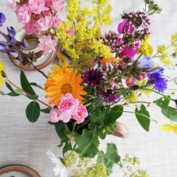 Rund voksdug med Elastik Beige Retro 158 cm