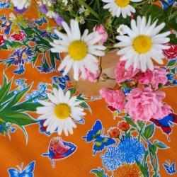 Mariposa Orange Blomster og Sommerfugle