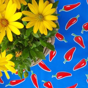 Chili Bl� Mexicansk Voksdug 