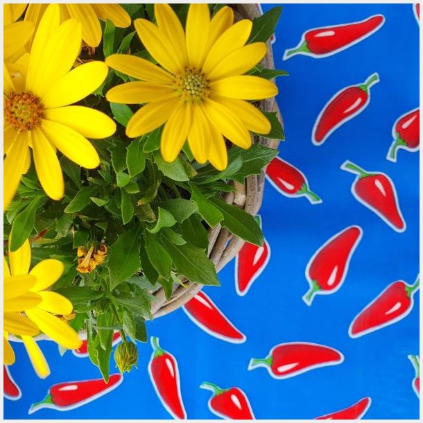 Chili Bl� Mexicansk Voksdug 