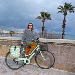 Cykeltaske Blade med Rygsk