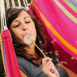 Brasil Grenadine Hngestol XL