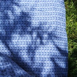 Molly Ocean Picnictppe