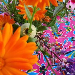 Aves Fuchsia Voksdug med Fugle