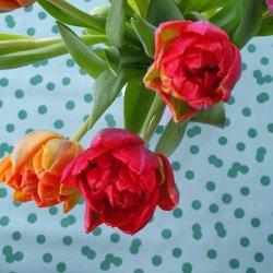 prikket gr�n smuk voksdug