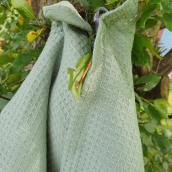 Vaffelvvet Grnt Viskestykke Iceberg Green