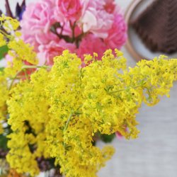 Rund voksdug med Elastik Beige Retro 158 cm