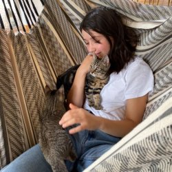 Habana kologisk Medium Hngestol Zebra 