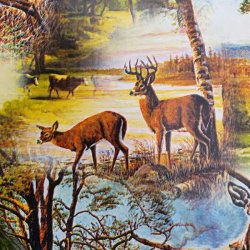 Rund Voksdug 140 cm Jagt og Ddyr