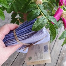 Karklude Kornblomstbl