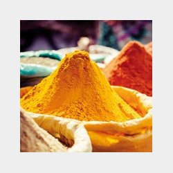 Brasil Acerola Hngestol XL