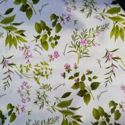 Forklde krydderurter