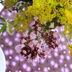 Lilla Bordeaux Voksdug 140 cm