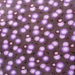 elegant og festlig voksdug