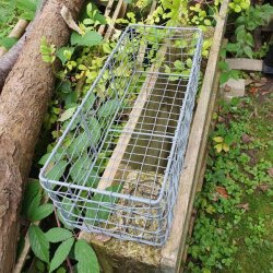 Firkantet trdkurv i zink - lille