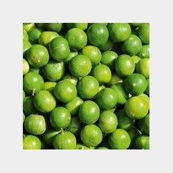 Brasil Lemon Hngestol XL