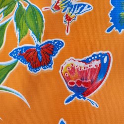 Mariposa Orange Blomster og Sommerfugle