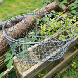 Oval trdkurv i zink - mellem