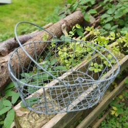 Oval trdkurv i zink - mellem