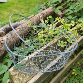 Oval tr�dkurv i zink - mellem