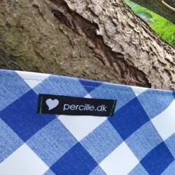 Brneforklde Voksdug Bl og Hvid Ternet