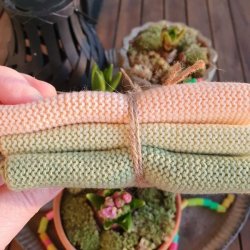 Karklude Papaya Pastel