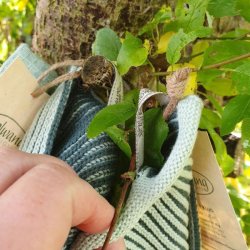 Ribstrikket Karklud og Spaklud Petrol