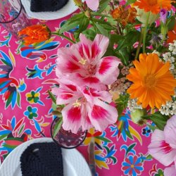 Aves Fuchsia Voksdug med Fugle