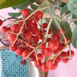 Voksdug Rosa Prikker Candy 140 cm Au Maison 