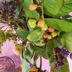 Voksdug Rosa Prikker Candy 140 cm Au Maison 